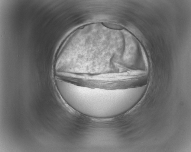 X0000074341296200609230108