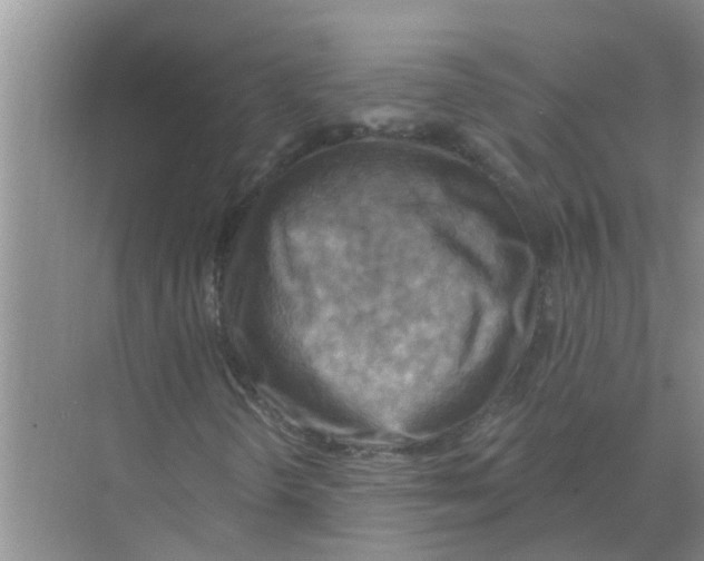 X0000074341298200609230107