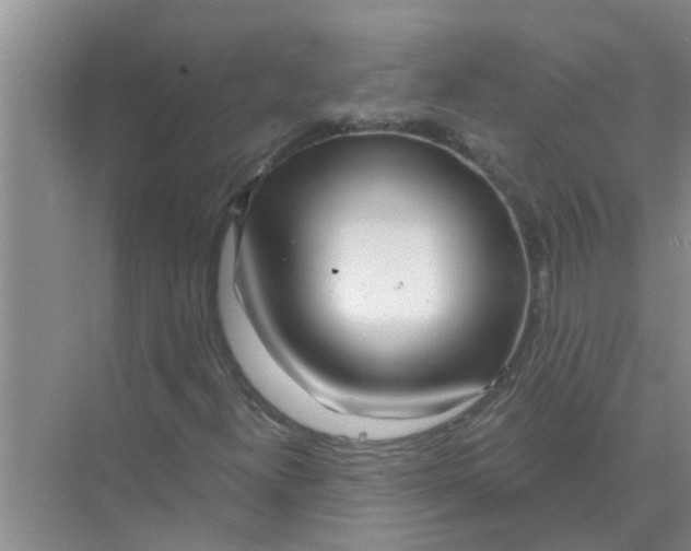 X0000074341300200609230107