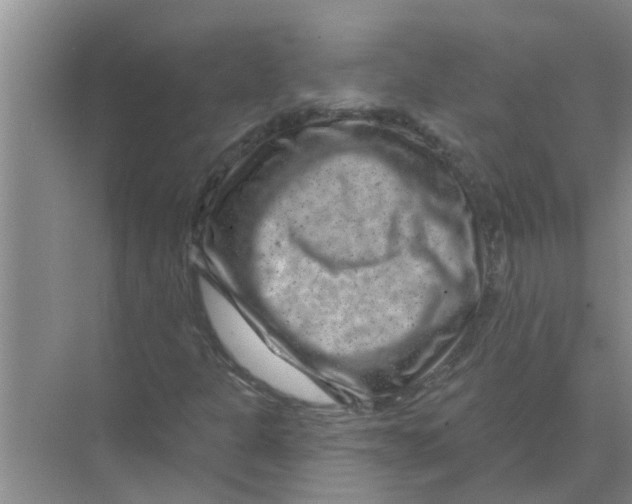 X0000074341301200609230107