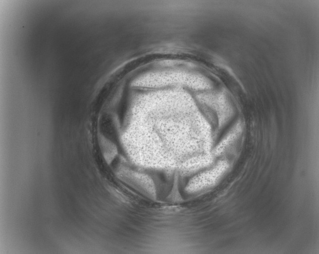 X0000074341304200609230108