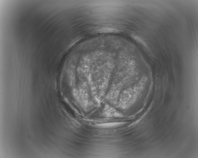 X0000074341305200609230108