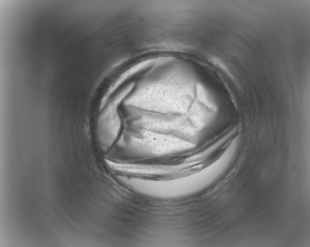 X0000074341307200609230108