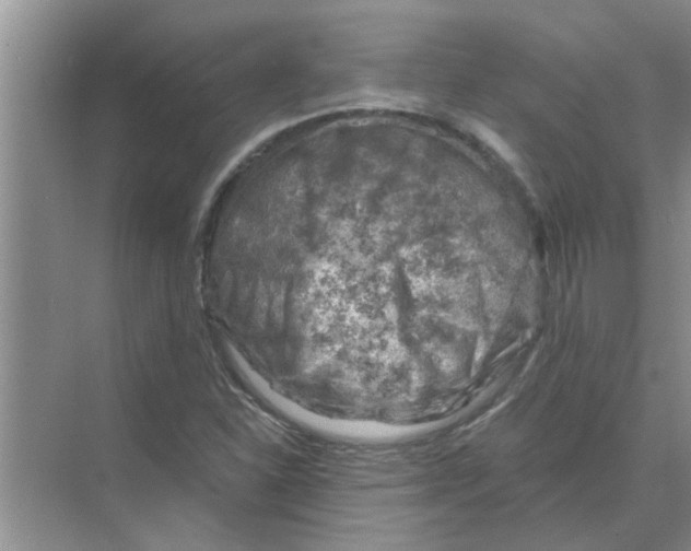 X0000074341310200609230108