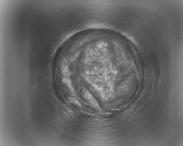 X0000074341311200609230108