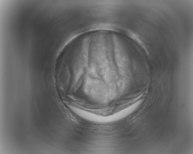 X0000074341312200609230108