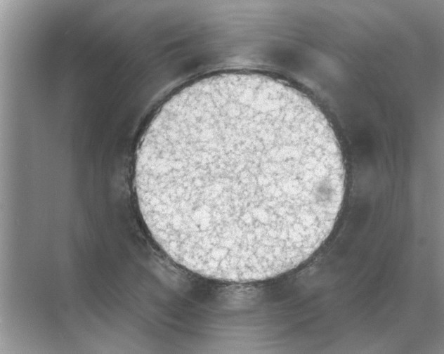 X0000074341314200609230108