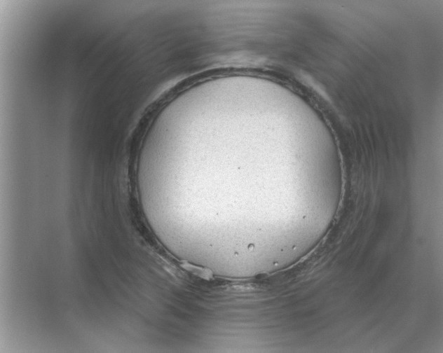 X0000074341315200609230108