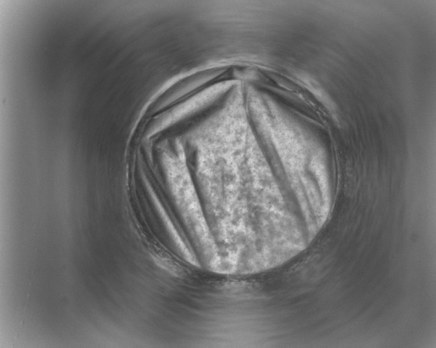 X0000074341316200609230108