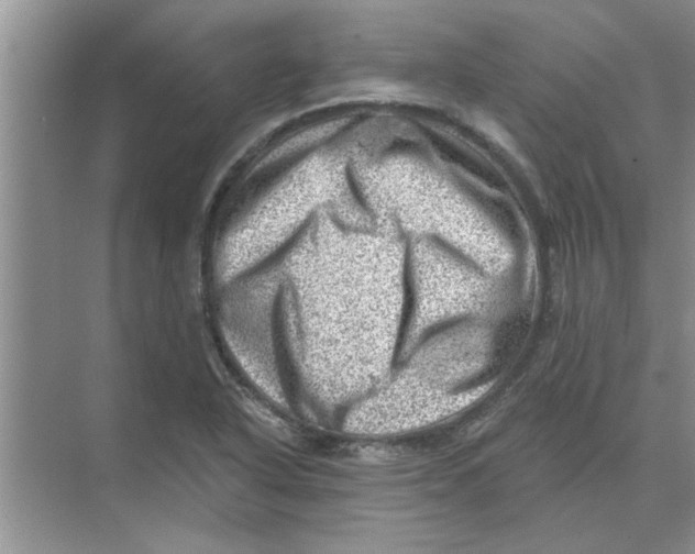 X0000074341318200609230108