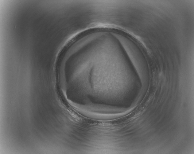 X0000074341319200609230108