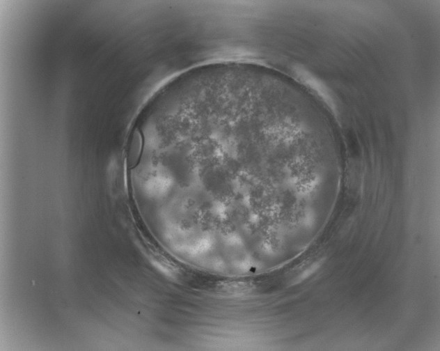 X0000074341320200609230108