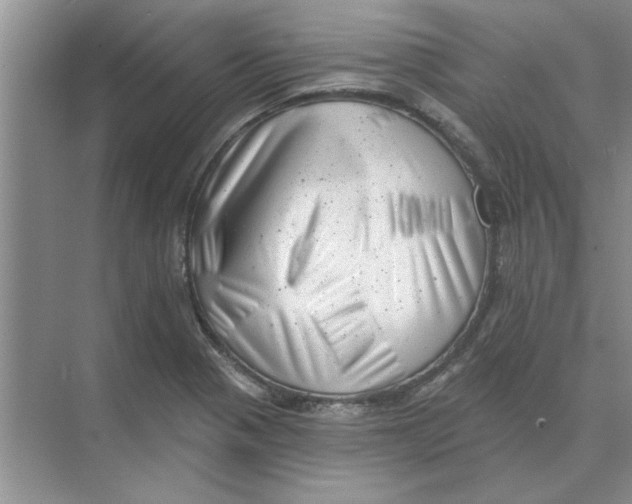 X0000074341321200609230108