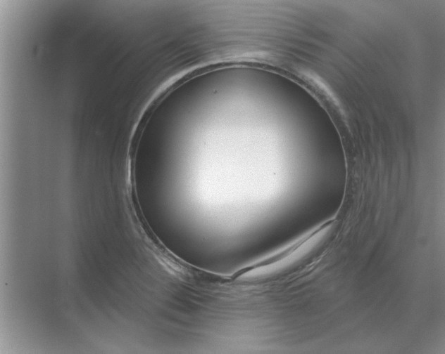 X0000074341324200609230108