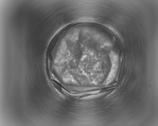 X0000074341325200609230108