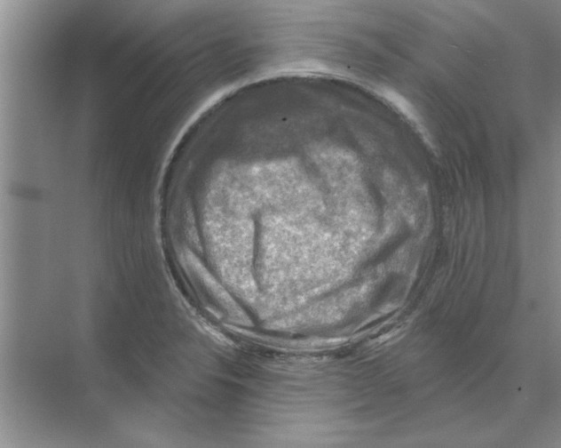 X0000074341326200609230108