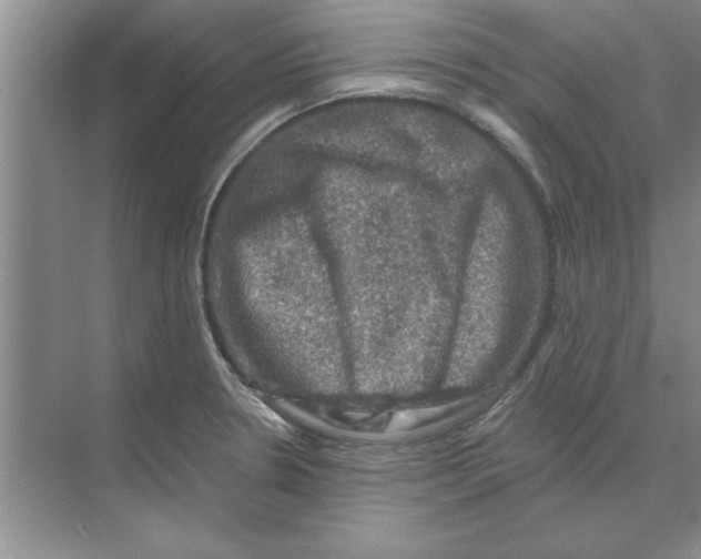 X0000074341330200609230108