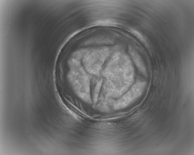 X0000074341331200609230108