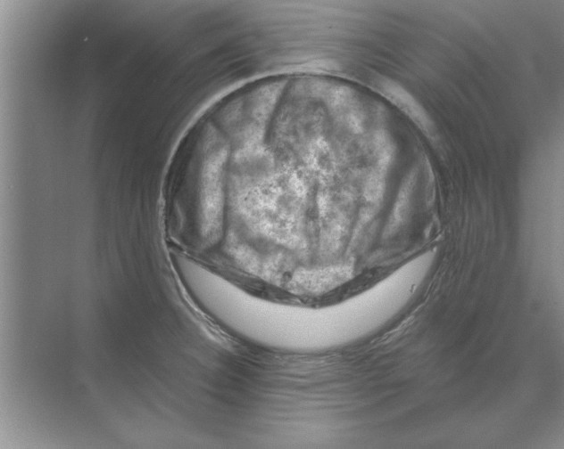 X0000074341332200609230108