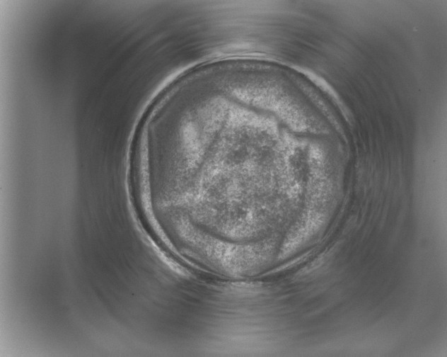 X0000074341333200609230108