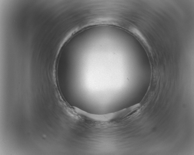 X0000074341336200609230108