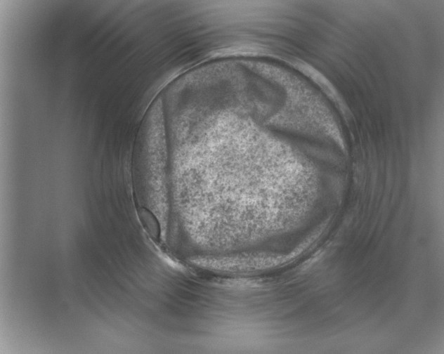 X0000074341337200609230108