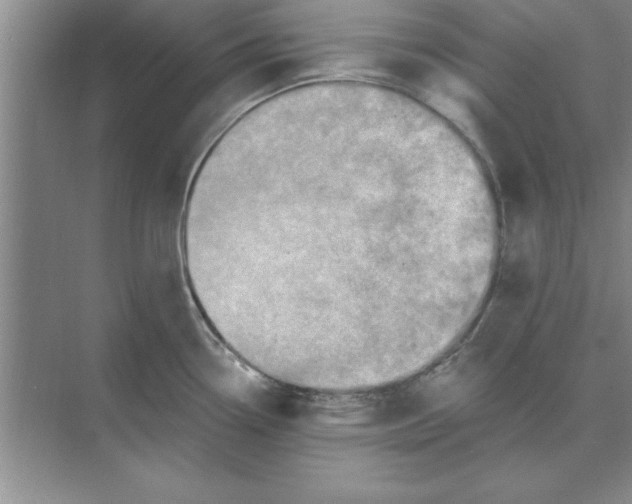 X0000074341338200609230108