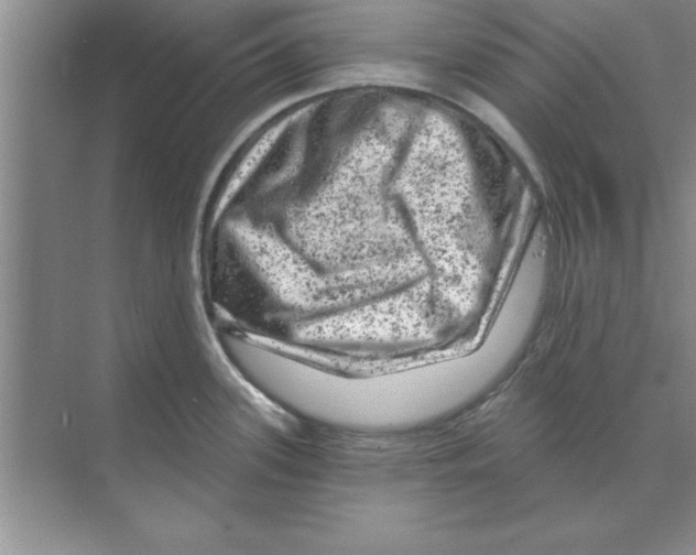 X0000074341339200609230108