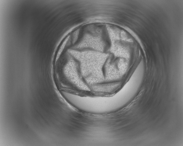 X0000074341341200609230108