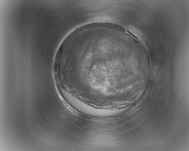 X0000074341342200609230108