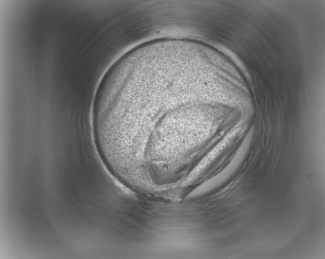 X0000074341343200609230108