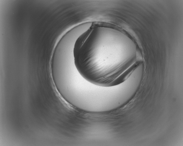 X0000074341344200609230108