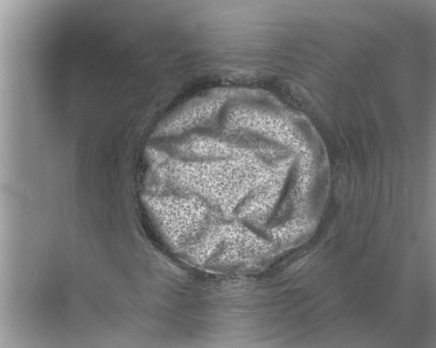 X0000074341345200609230107