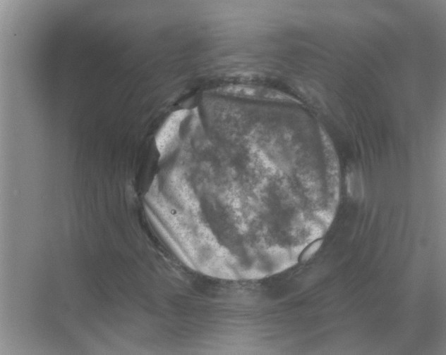 X0000074341347200609230107