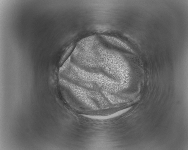 X0000074341349200609230107