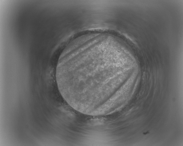 X0000074341351200609230107