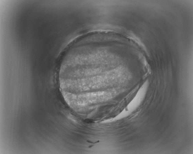 X0000074341352200609230107