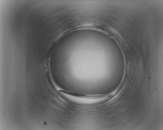 X0000074341353200609230107