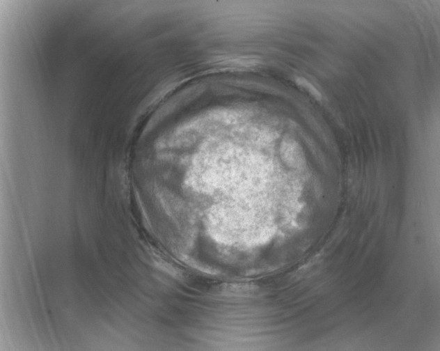 X0000074341354200609230107