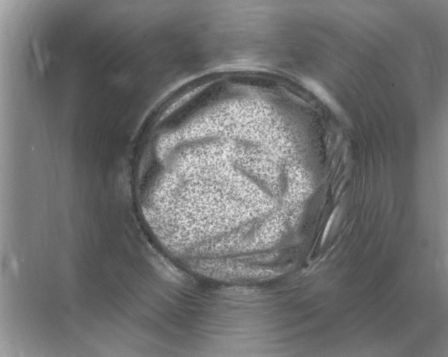 X0000074341356200609230107