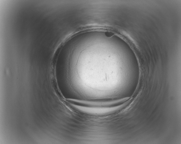 X0000074341357200609230107