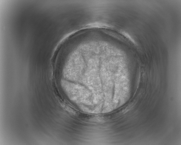 X0000074341358200609230107