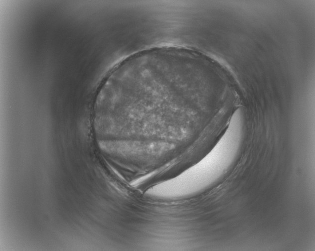 X0000074341359200609230107