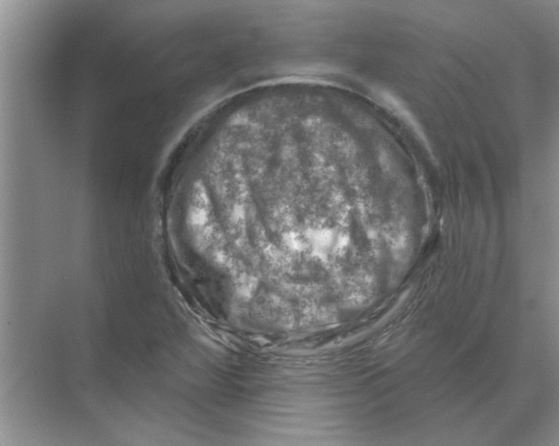 X0000074341360200609230107