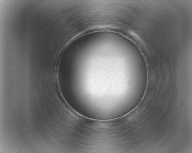 X0000074341361200609230107