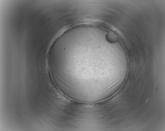 X0000074341362200609230107