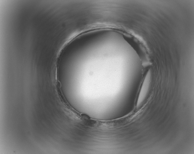 X0000074341365200609230107