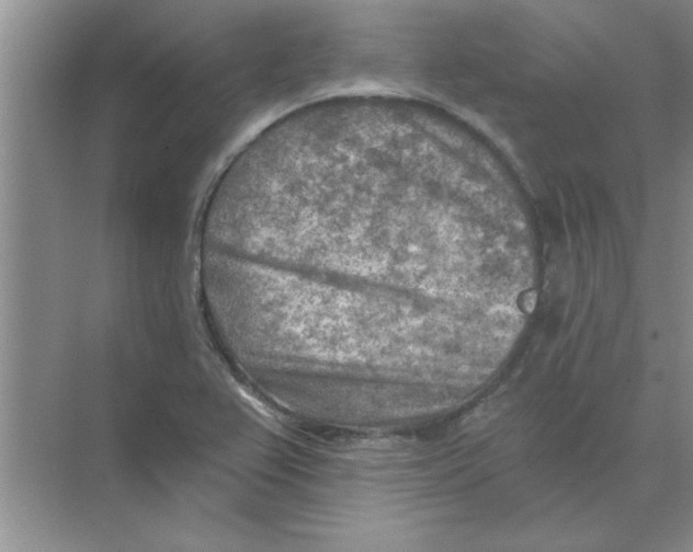 X0000074341367200609230107