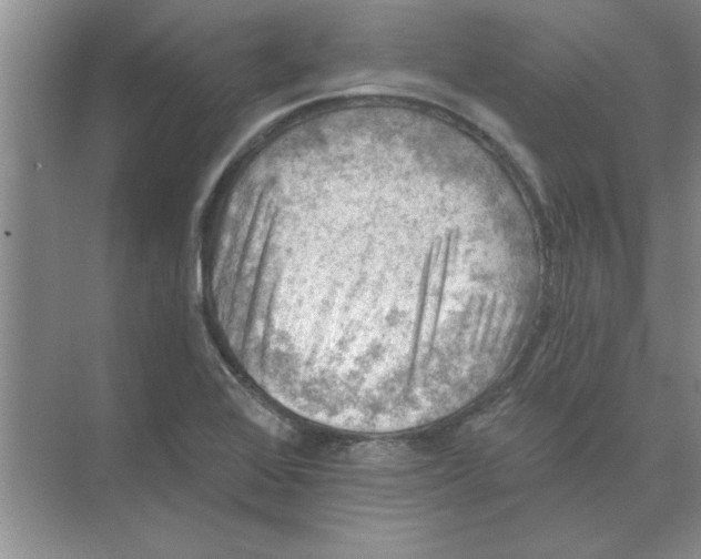 X0000074341368200609230107