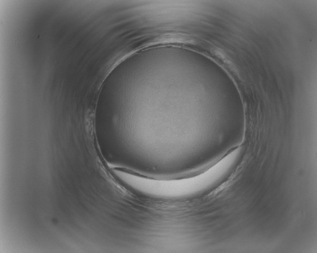 X0000074341369200609230107